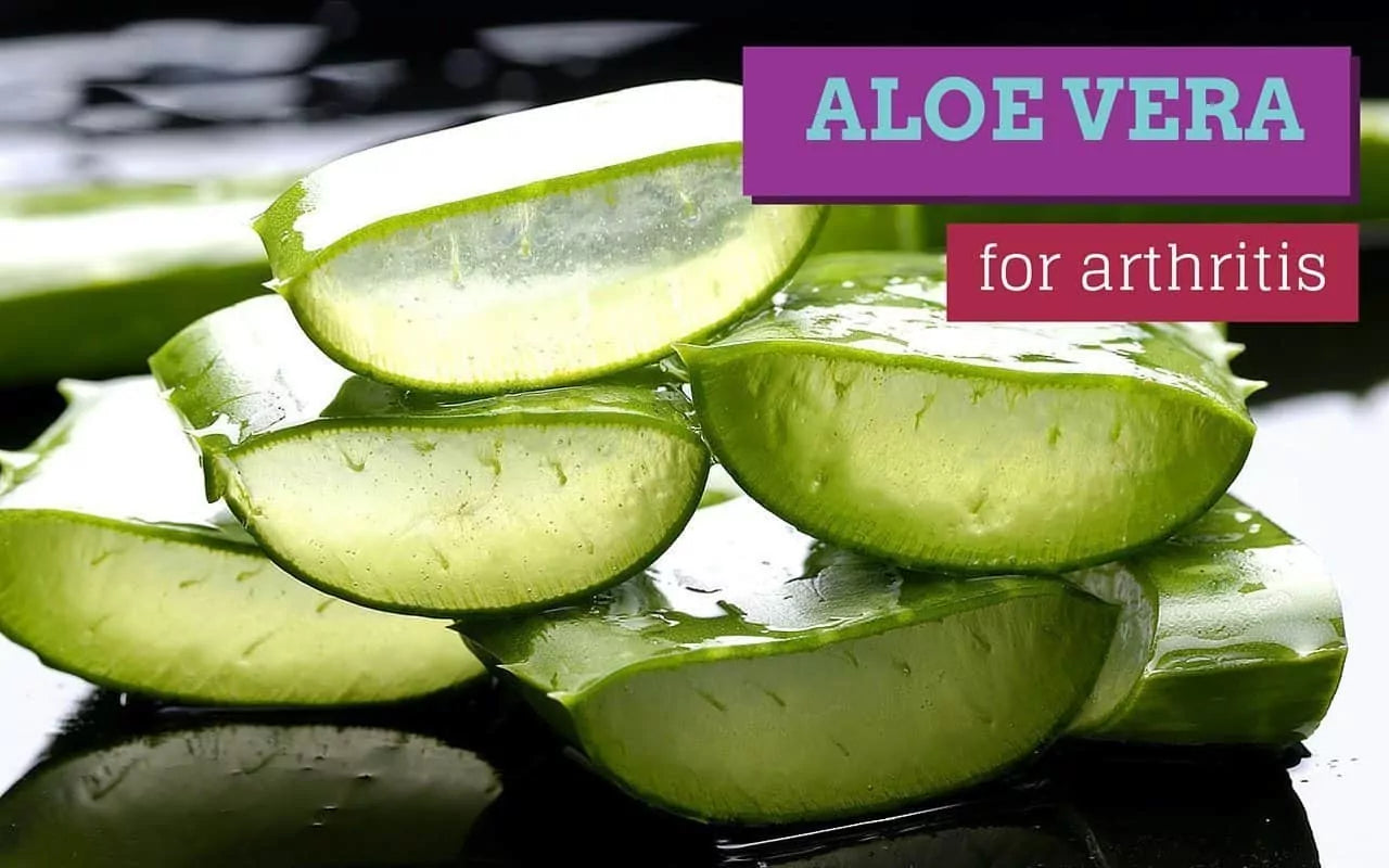 Aloe Vera and Joint Comfort: What We Know and How It May Help