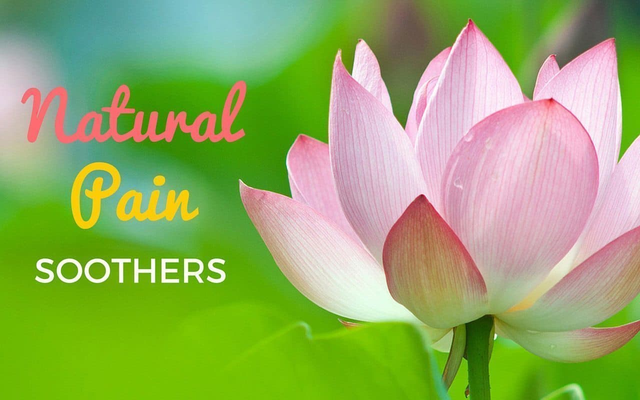 Muscle Problems, Joint Problems - oh My. Time for Pain Soothers