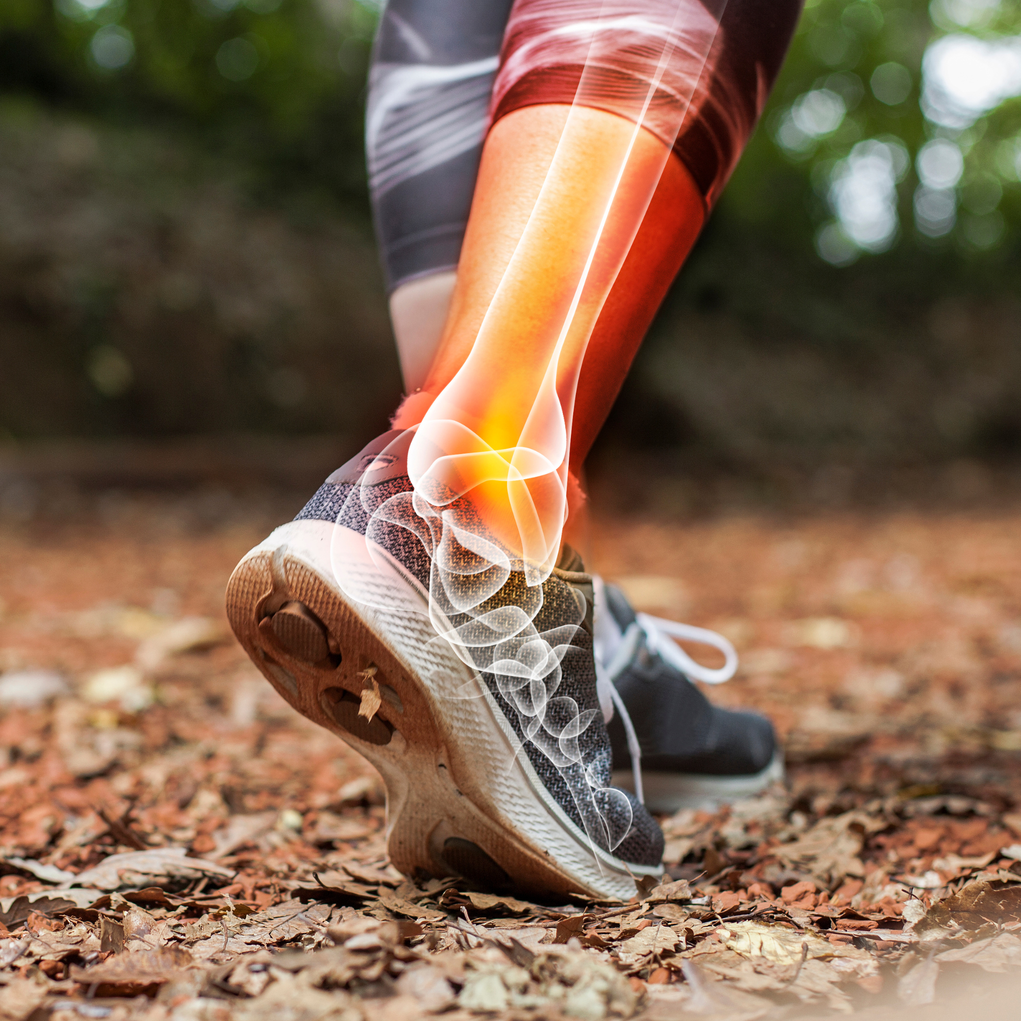 Ankle Stability Bundle