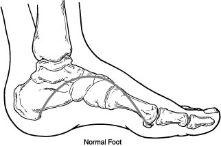 Image result for flexible feet